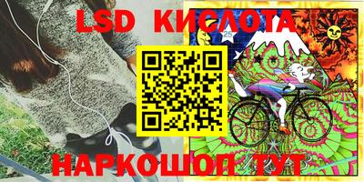 ешки Бийск