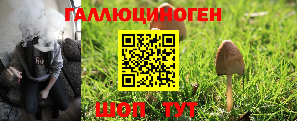 Галлюциногенные грибы MAGIC MUSHROOMS Кашира