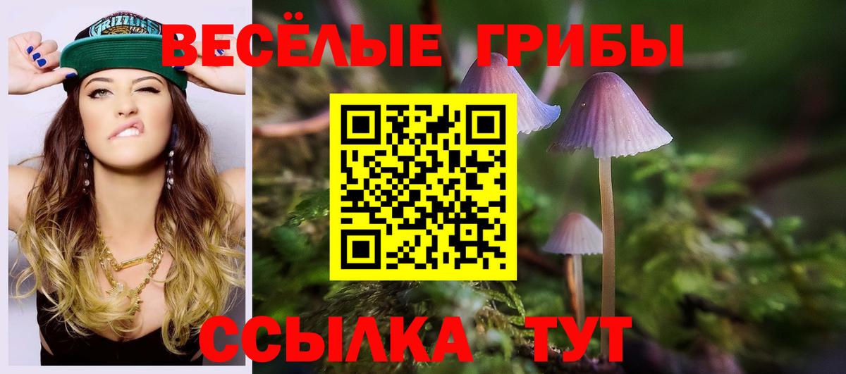 Кашира  Галлюциногенные грибы ЛСД  Вход с VPN 